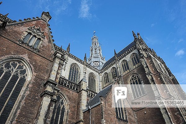 Gotische Kathedrale Sint-Bavokerk  Grote Markt  Haarlem  Provinz Nordholland  Noord-Holland  Niederlande