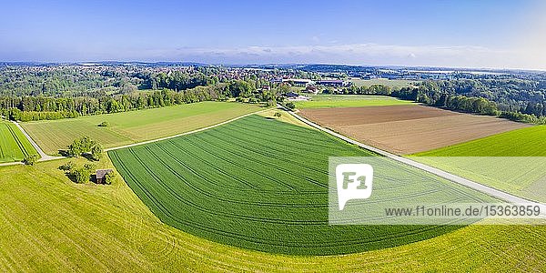 Luftaufnahme  landwirtschaftliche Flächen  Schwäbischer Wald  Rems-Murr-Kreis  Baden Württemberg  Deutschland  Europa