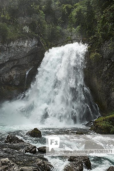 Gollinger Wasserfall  bei Golling an der Salzach  Österreich  Europa