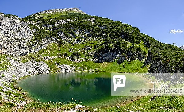 Seehornsee unter dem Gipfel des Seehorn Bergsee Berchtesgadener Alpen Weißbach bei Lofer Salzburger Land Österreich Europa