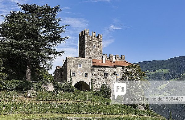 Burg Hochnaturns oberhalb von Naturns Höhenburg aus dem 13. Jahrhundert romanischer Wohnturm Vinschgau Südtirol Italien Europa