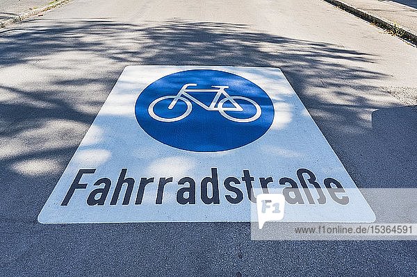 Straßenmarkierungen  Radweg  Harlaching  München  Oberbayern  Bayern  Deutschland  Europa