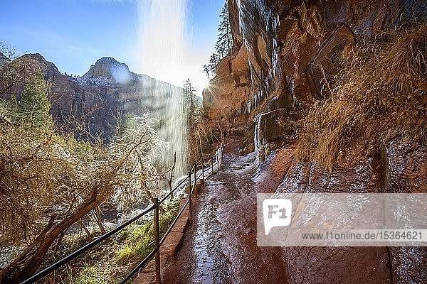 Wasserfall fällt von überhängenden Felsen im Winter  Emerald Pools Trail Wanderweg entlang des Virgin River  Zion National Park  Utah  USA  Nordamerika