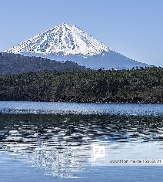 Lake Saiko  back volcano Mt. Fuji  Minamitsuru district  Yamanashi prefecture  Japan  Asia