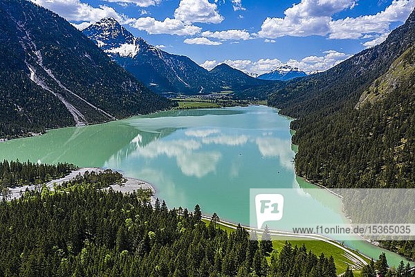 Drohnenaufnahme  smaragdgrüner Plansee umgeben von den Ammergauer Alpen  Bezirk Reutte  Tirol  Österreich  Europa