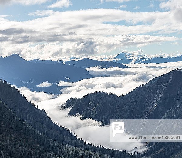 Blick vom Artist Point  Berglandschaft in Wolken  Mount Baker-Snoqualmie National Forest  Washington  USA  Nordamerika