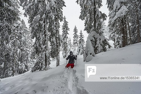 Young man running through deep snow  hiking in winter  deep snow in the forest  Brixen im Thale  Tyrol  Austria  Europe