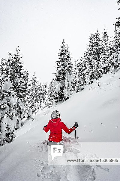 Junge Frau steht im Tiefschnee  Winterwanderung  Tiefschnee im Wald  Brixen im Thale  Tirol  Österreich  Europa