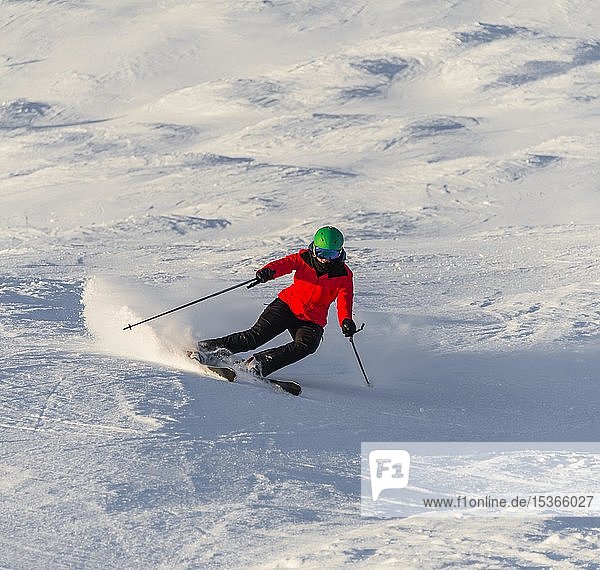 Female skier skiing steep downhill in a short turn  black slope  SkiWelt Wilder Kaiser  Brixen im Thale  Tyrol  Austria  Europe