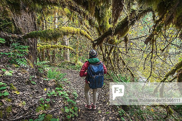 Wanderer auf Wanderweg im Regenwald  Okanogan-Wenatchee National Forest  Washington  USA  Nordamerika