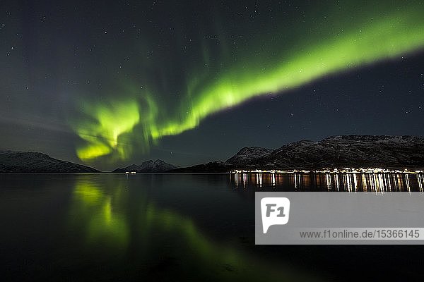 Northern lights over the Skulsfjord  Skulsfjord  Tromsö  Norway  Europe