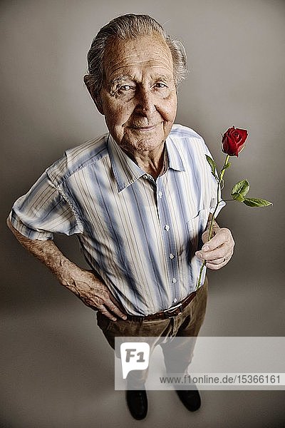Senior hält eine rote Rose in der Hand  Symbolbild Liebe  Romantik  Studioaufnahme  Deutschland  Europa