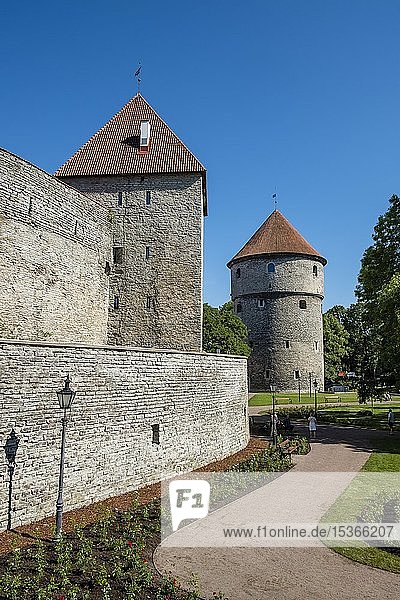 Turm Kiek in de Kök auf dem Domberg und der Stadtmauer  Oberstadt  Altstadt  Tallinn  Estland  Europa