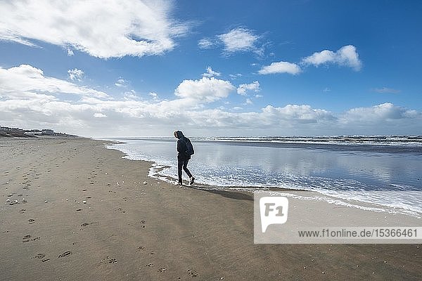 Young man walking along beach  North Sea  Zandvoort aan Zee  North Holland  Holland  Netherlands