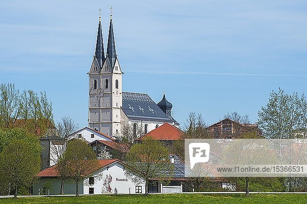 Wallfahrtskirche St. Maria Himmelfahrt in Tuntenhausen  Oberbayern  Bayern  Deutschland  Europa