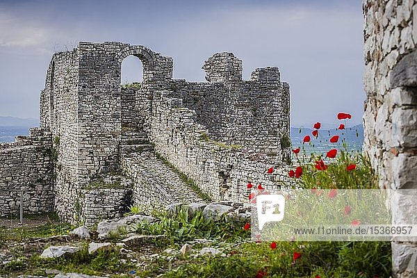 Ruinen der Burg Berat  Burg Kalaja  Albanien  Europa