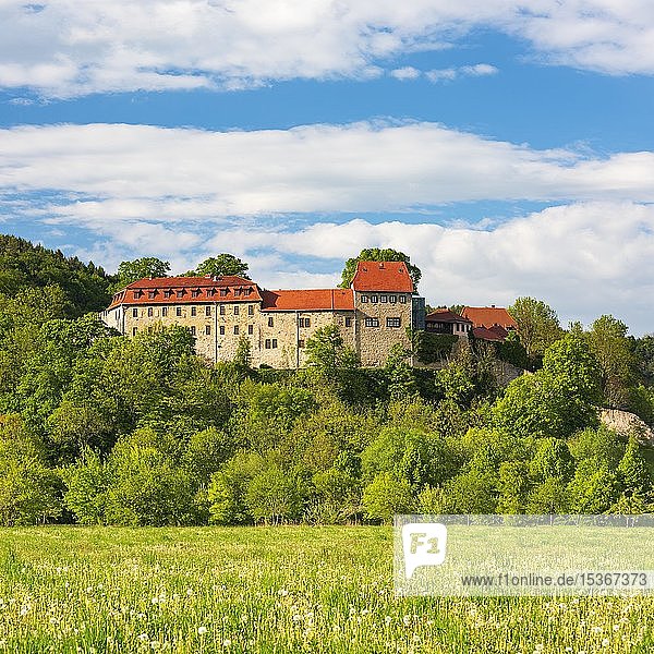 Schloss Creuzburg im Werratal  Creuzburg  Thüringen  Deutschland  Europa