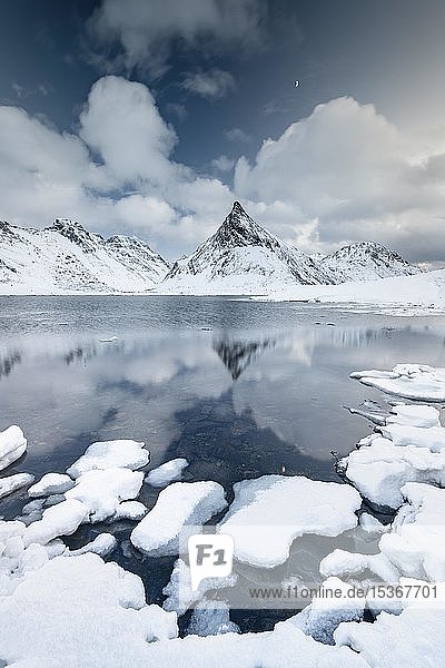 Mount Volandstinden reflected in fjord  snow-covered shore and ice in front  Fredvang  Flakstadøya  Lofoten  Norway  Europe