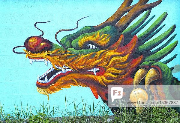 Drachenkopf  Wandmalerei  Pai  Provinz Mae Hong Son  Thailand  Asien