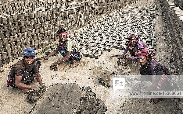 Workers of a brickyard stacking dried bricks  Dhaka  Bangladesh  Asia