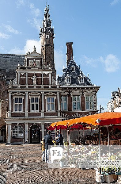 Rathaus mit Kirche St. Bavokerk  Blumenstand Grote Markt  Marktplatz in Haarlem  Provinz Nordholland  Holland  Niederlande