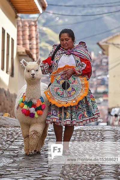 Local woman in traditional costume with a decorated Alpaca (Vicugna pacos) Old Town Cusco Peru South America