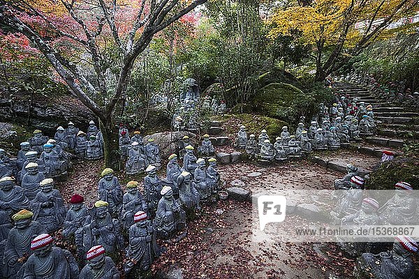 500 Buddhastatuen unter Herbstlaub Daisho-in Tempelanlage Miyajima Japan Asien