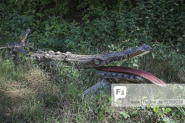 Geschnitzte Krokodilfigur aus einem Baumstamm Waldgeisterweg Oberotterbach Südliche Weinstrasse Rheinland-Pfalz Deutschland Europa