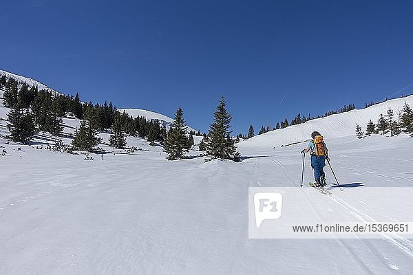 Woman with touring skis in Bergland  Rax  Lower Austria  Austria  Europe