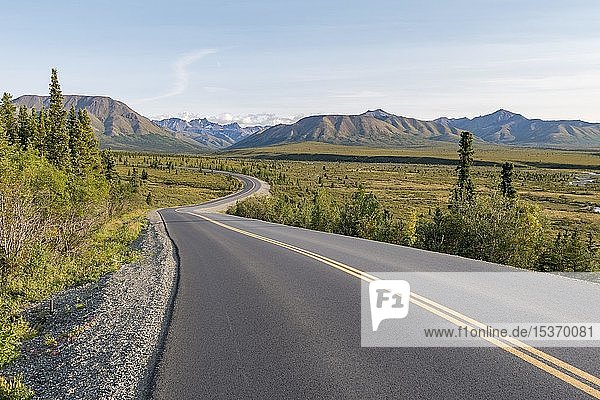 Road in Denali National Park  Mountains of the Alaska Range  Alaska  USA  North America