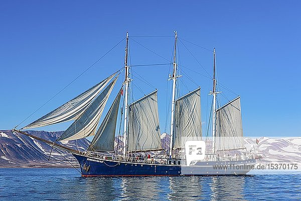 Segelschiff Rembrandt van Rijn in Scoresbysund  Ostgrönland  Grönland  Nordamerika