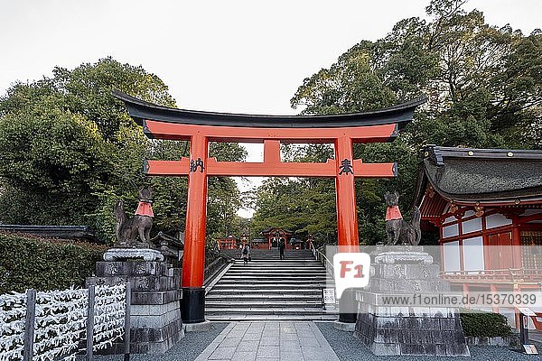 Fushimi Inari Taisha  Shinto-Schrein mit Tori-Toren  Fushimi Inari-taisha Okusha Hohaisho  Kyoto  Japan  Asien