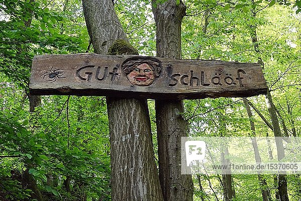 Schriftzug Gut Schlääf auf einem Holzbrett am Wanderweg Steckeschlääfer-Klamm im Morgenbachtal Binger Stadtwald Bingen am Rhein Rheinland-Pfalz Deutschland Europa