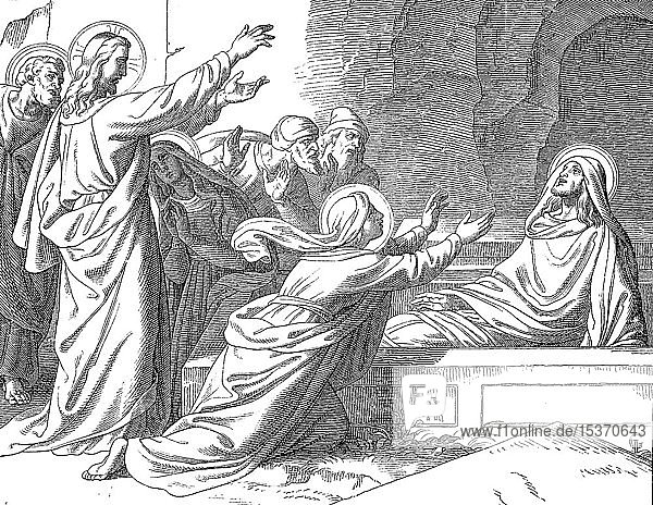 Die Auferstehung des Lazarus  Lazarus von Bethanien  auch bekannt als Heiliger Lazarus  Bibel  1881  historische Holzschnittillustration  Deutschland  Europa