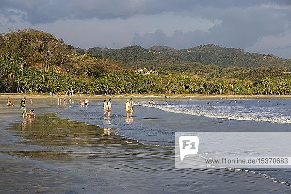 Touristen am Meer mit Palmenstrand  Playa Samara  Badeort Samara  Halbinsel Nicoya  Provinz Guanacaste  Costa Rica  Mittelamerika