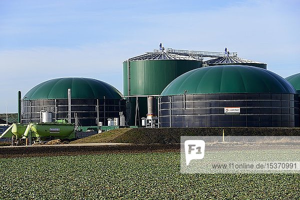 Biogas plant  Solzhen  Peine  Lower Saxony