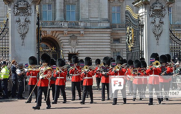 Brass band of the guards  Changing of the guards  Buckingham Palace  London  England  Great Britain