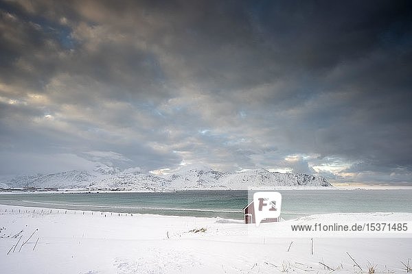 Rotes Haus im Schnee am Strand  Lofoten  Norwegen  Europa