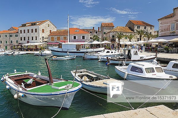Fishing boats in port  Stari Grad  island of Hvar  Dalmatia  Croatia  Europe