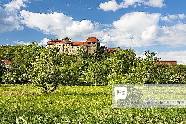 Schloss Creuzburg im Werratal  vor Streuobstwiese  Creuzburg  Thüringen  Deutschland  Europa