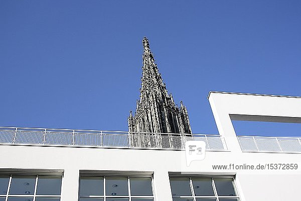 Ulmer Münster Steeple hinter Stadthausfassade in Ulm  Baden-Württemberg  Deutschland  Europa