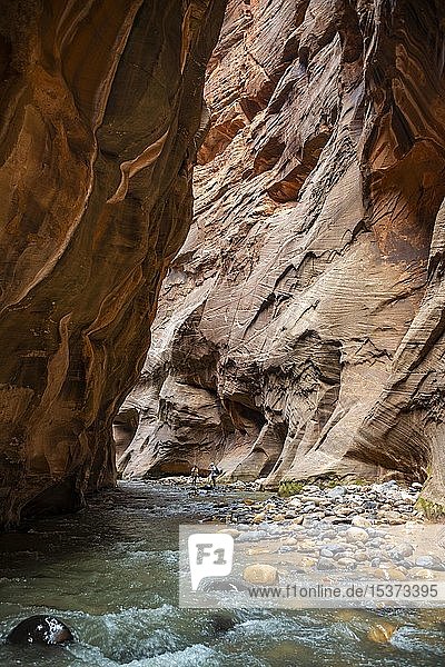 The Narrows Engstelle des Virgin River Steilwände des Zion Canyon Zion Nationalpark Utah USA Nordamerika