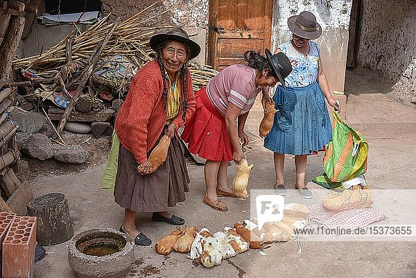 Local women kill Cuys giant guinea pigs for preparation to traditional Cuy dish Cusco Peru South America