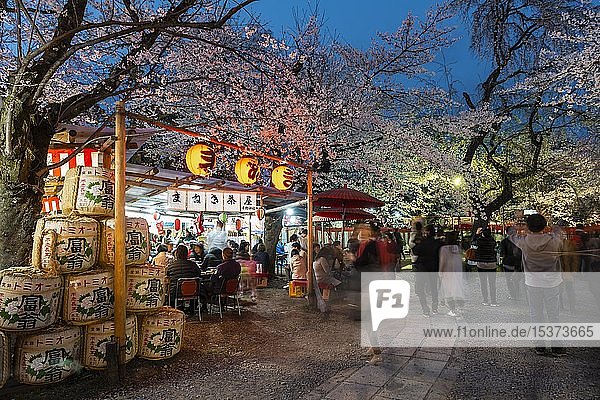 Essensstände beim Kirschblütenfest  Hanami  Abendstimmung  Hirano-Schrein  Kyoto  Japan  Asien