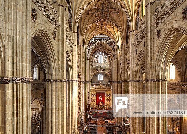 Innenraum der Neuen Kathedrale  Salamanca  Kastilien-León  Spanien  Europa
