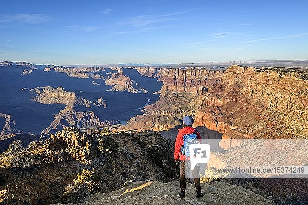 Junge Frau  Touristin steht vor der Schlucht des Grand Canyon  Blick in die Ferne  Colorado River  erodierte Felslandschaft  Blick in der Nähe des Desert View Watchtower  South Rim  Grand Canyon National Park  Arizona  USA  Nordamerika