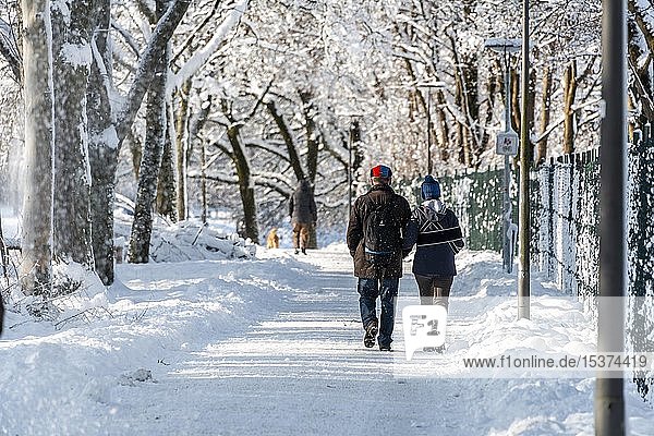 Pedestrian  couple walking  path in a park through snow-covered trees  Harlaching  Munich  Bavaria  Germany  Europe