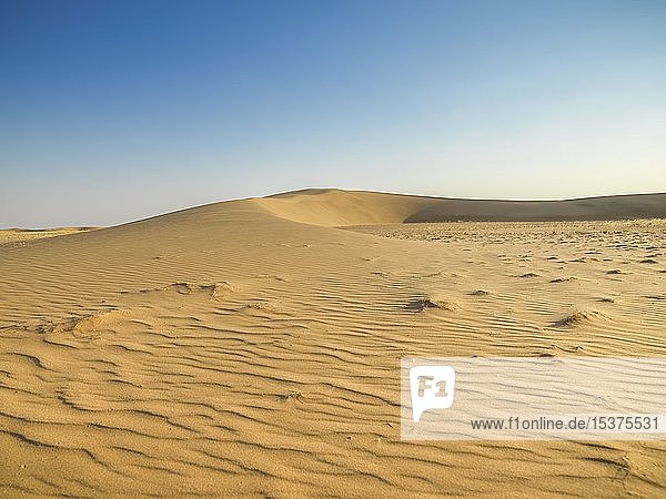 Sand dunes  Kaokoveld  Namibia  Africa