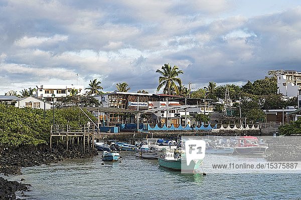 Kleiner Fischerhafen von Puerto Ayuro  Insel Santa Cruz  Galapagos-Inseln  Ecuador  Südamerika