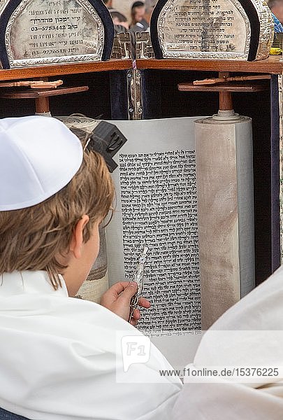 Ein junger Jude liest aus der Thora in Jerusalem  Israel  Asien